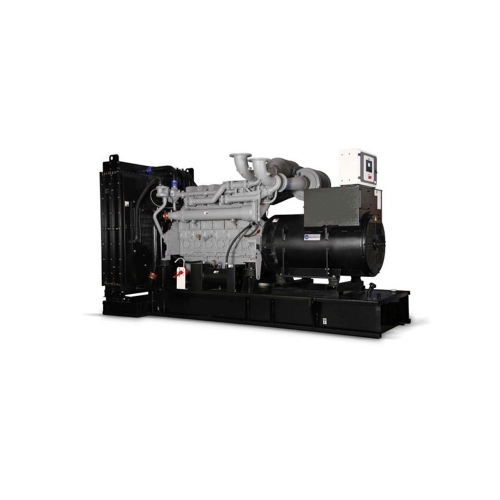 Генератор дизельный Dalgakiran DJ263BD-foto2